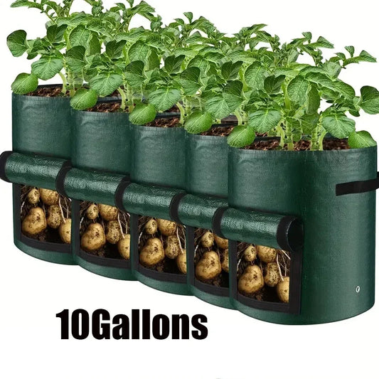 5-Pack Vegetable Grow Bags – Thickened PE Planting Containers for Garden & Balcony Use